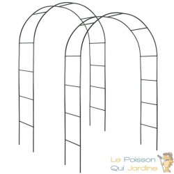 Lot de 2 Arches de jardin en acier résistant classique