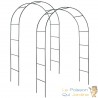 Lot de 2 Arches de jardin en acier résistant classique