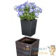 Ensemble de trois pots de fleurs hauts couleur brun foncé