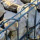 Gabion En Métal Galvanisé, Robuste, Résistant, 100 x 100 x 30 cm Lot de 5