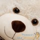 Ours en peluche nounours Taille XL 100 cm de haut- Crème - Doux