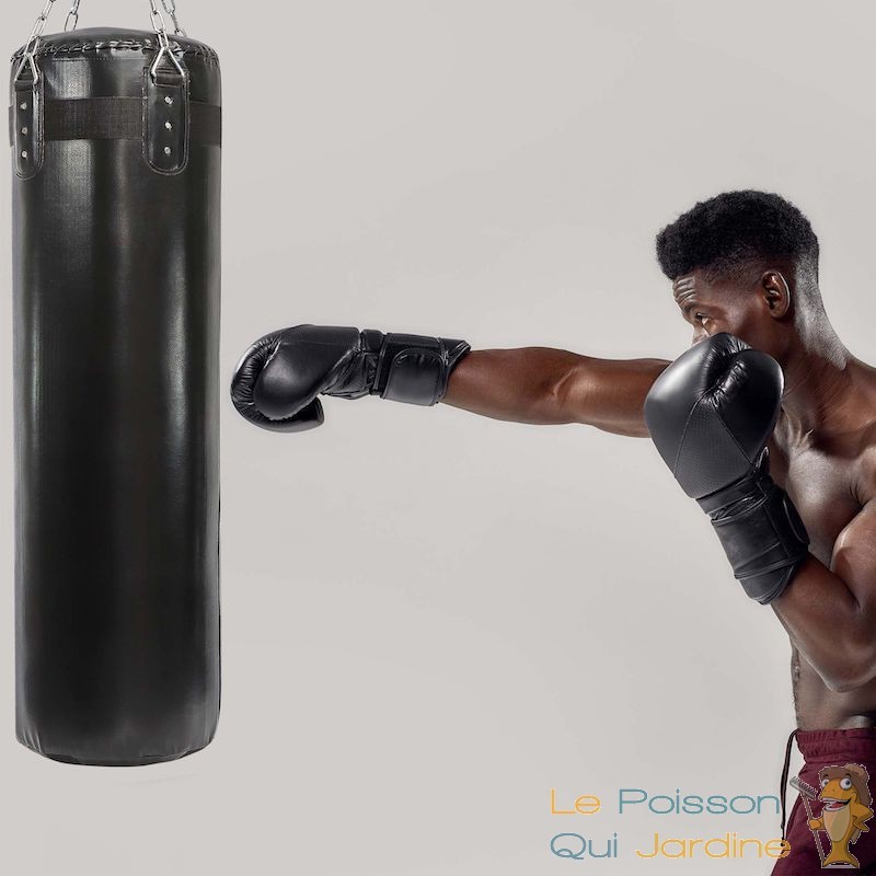 Sacs de frappe et punching-ball, Boxe