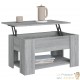 Table Basse Salon. Couleur Bois Gris. Plateau Relevable. Grand Espace de Rangement