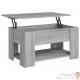 Table Basse Salon. Couleur Bois Gris. Plateau Relevable. Grand Espace de Rangement