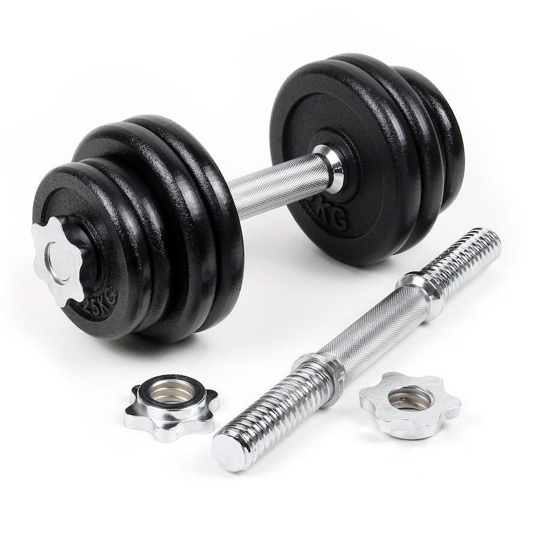 2 haltères Musculation 20 kg. En Fonte, 8 disques, pour une Musculation Efficace