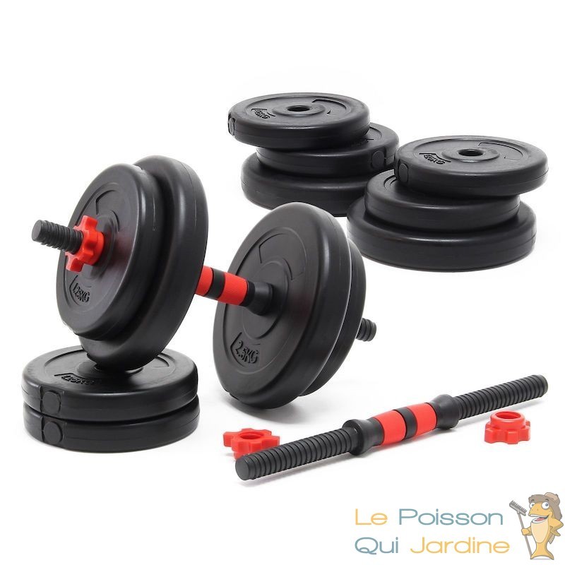 2 haltères Musculation 20 kg. En Fonte, 8 disques, pour une Musculation  Efficace - Le Poisson Qui Jardine