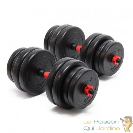 2 haltères Musculation 30 kg. 16 disques, pour une Musculation Efficace