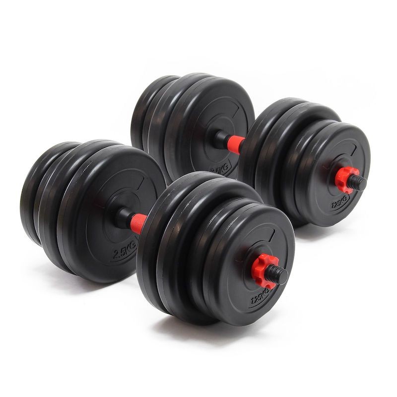 2 haltères Musculation 30 kg. 16 disques, pour une Musculation Efficace