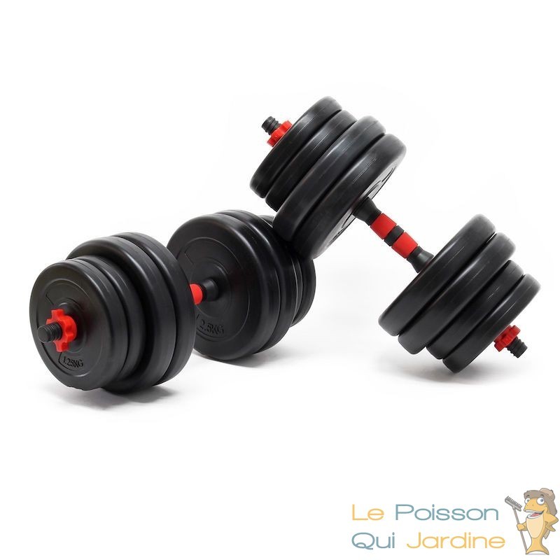 2 haltères Musculation 15 kg. 8 disques, pour une Musculation Efficace - Le  Poisson Qui Jardine