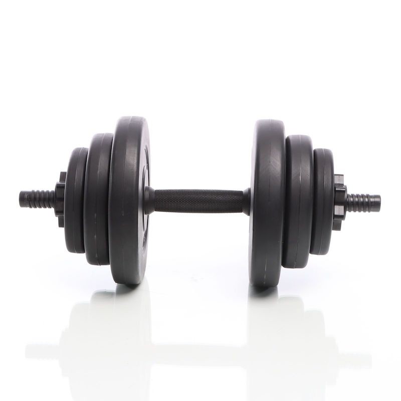 2 haltères Musculation 9 kg. 6 disques, pour une Musculation Efficace