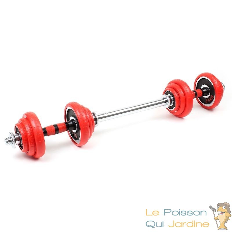 Haltères de Musculation Poids Ajustable 20KG 2 en 1 - BESPORTBLE