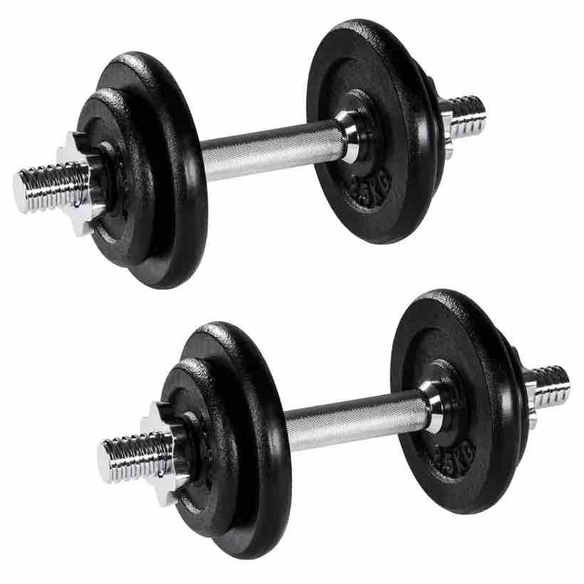 2 haltères Musculation 10 kg. 4 disques, pour une Musculation Efficace