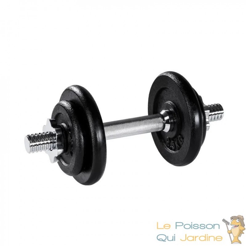 1 haltère Musculation 10 kg. 4 disques, pour une Musculation Efficace - Le  Poisson Qui Jardine