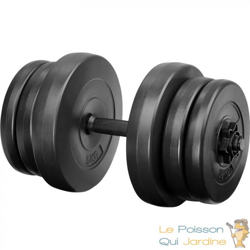 1 haltère Musculation 20 kg. 6 disques, Plastique ABS pour une Musculation  Efficace - Le Poisson Qui Jardine