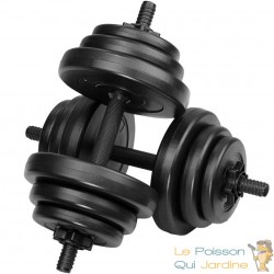 2 haltères Musculation 10 kg Chaque . 6 disques, pour une Musculation Efficace