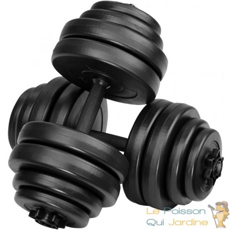 2 haltères Musculation 15 kg Chaque . 8 disques, pour une Musculation Efficace