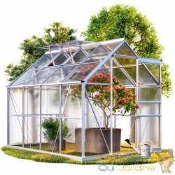 Serre de jardin Aluminium 250 x 190 x 195cm avec 2 lucarnes