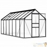 Serre de jardin Solide 430 X 190 X 202 cm. Volume de 14 m³ Qualité et Robustesse