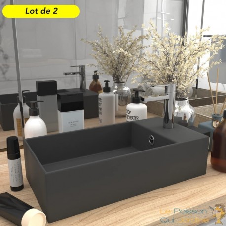 Lot de 2 Lavabos de Salle de Bain Chic & Moderne Gris Anthracite. SANS Mitigeur