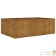 Jardinière Acier Corten 120 X 80 X 40 cm. Aspect Rouille, Très tendance. Jardin, Pation, Balcon