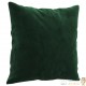 2 Coussins décoratifs Vert 40 x 40 cm En Velours. Idéal Salon, Sofa et Canapé