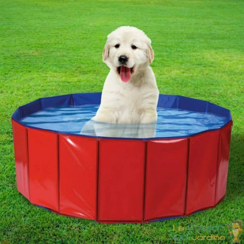 Piscine pliable pour Chiens 80x30 cm. Pour éviter les coups de chaud en été  - Le Poisson Qui Jardine