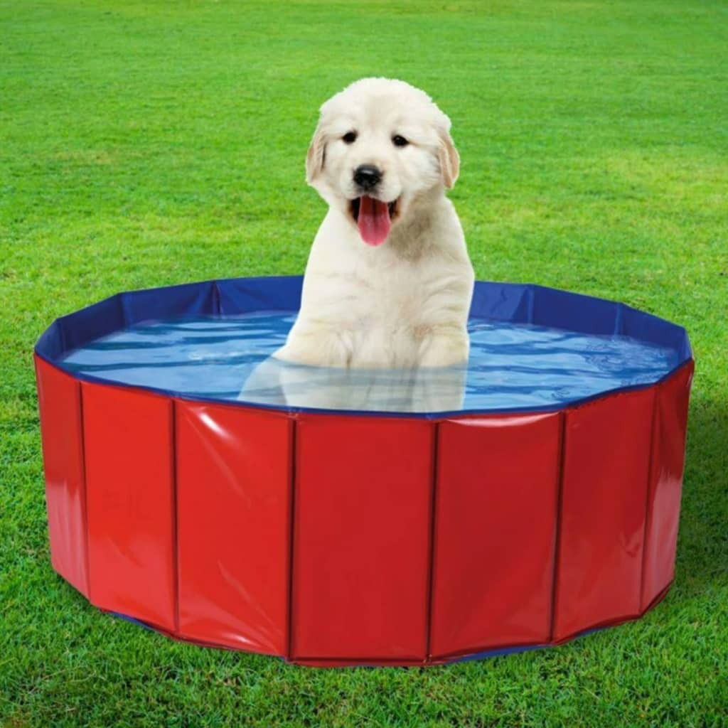 Piscine pliable pour Chiens 80x30 cm. Pour éviter les coups de chaud en été