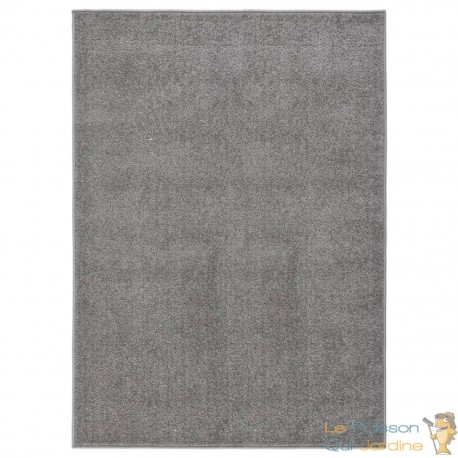 Tapis Salon Poils Courts. Gris. 140 X 200. Design, Chaud & Confortable