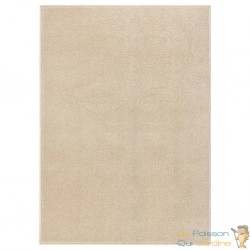 Tapis Salon Poils Courts. Beige. 140 X 200. Design, Chaud & Confortable