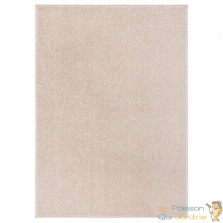 Tapis Salon Poils Courts. Saumon. 160 X 230. Design, Chaud & Confortable