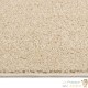 Tapis Salon Poils Courts. Beige. 240 X 340. Design, Chaud & Confortable