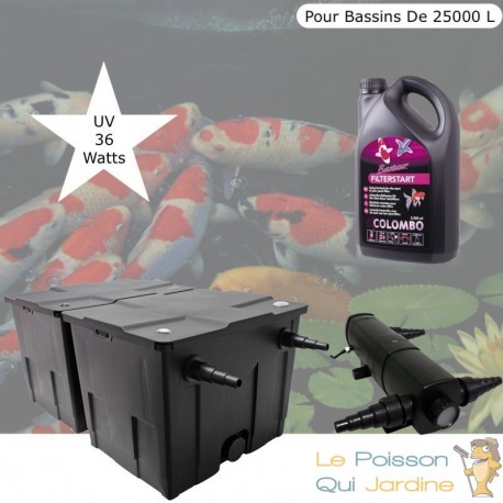 Filtre + UV 36W + Bactéries 2500 ml bassins de jardin et étangs jusqu'à 25000 litres