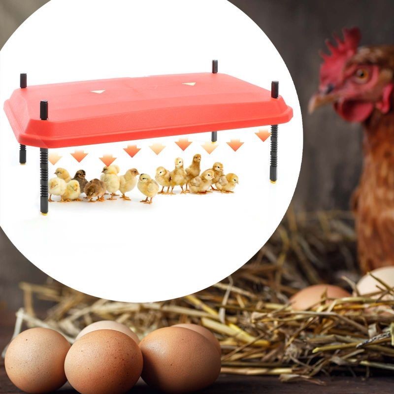 Panneau Chauffant Poussins 40X60. 66W. Plaque Chauffante 45 Poussins environ