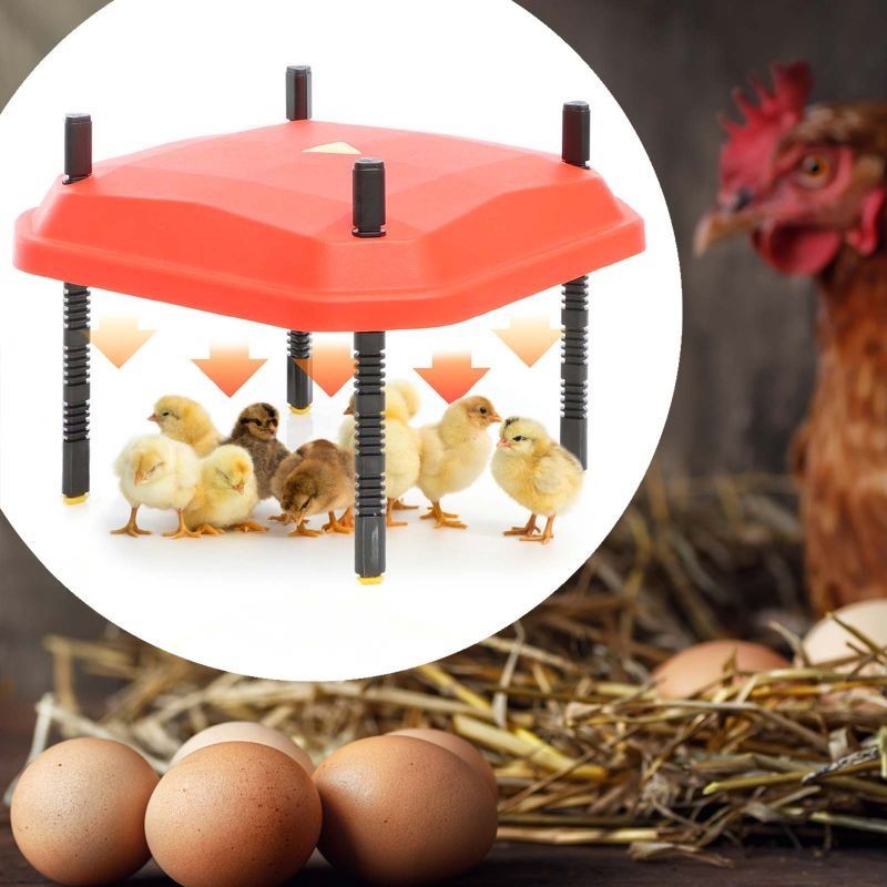 Panneau Chauffant Poussins 25X25 cm. 13W. Plaque Chauffante 20 Poussins environ