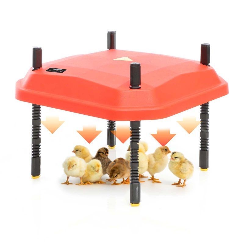 Panneau Chauffant Poussins 25 X 30 cm. 20W. Plaque Chauffante 20 Poussins environ