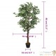 Ficus 80 cm Artificielle. Pour une décoration d'intérieur Sublimée