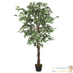 Ficus 80 cm Artificiel. Pour une décoration d'intérieur Sublimée