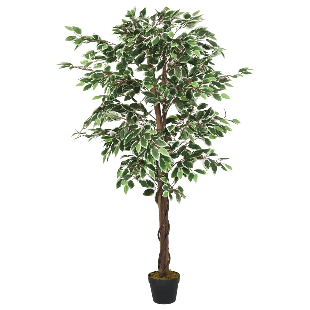 Ficus 80 cm Artificiel. Pour une décoration d'intérieur Sublimée