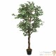 Ficus 80 cm Artificielle. Pour une décoration d'intérieur Sublimée