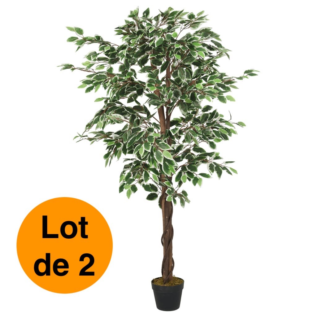 Lot de 2 Ficus 80 cm Artificiels. Pour une décoration d'intérieur Sublimée