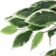 Lot de 2 Ficus 120 cm Artificielle. Pour une décoration d'intérieur Sublimée