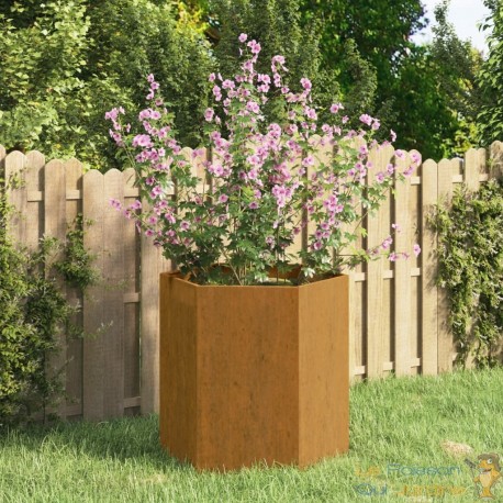 Jardinière Acier Corten Hexagonale 40 X 40 X 45 cm. Aspect Rouille, Très tendance. Jardin, Patio, Balcon