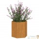 Jardinière Acier Corten Hexagonale 40 X 40 X 45 cm. Aspect Rouille, Très tendance. Jardin, Patio, Balcon