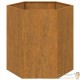 Lot de 2 Jardinières Acier Corten Hexagonale 40 X 40 X 45 cm. Aspect Rouille, Très tendance. Jardin, Patio, Balcon