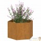 Lot de 2 Jardinières Acier Corten Hexagonale 60 X 60 X 45 cm. Aspect Rouille, Très tendance. Jardin, Patio, Balcon