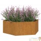 Jardinière Acier Corten Hexagonale 138 X 138 X 45 cm. Aspect Rouille, Très tendance. Jardin, Patio, Balcon