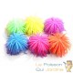 Anémone orange medium décoration aquariums