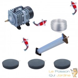 Set aération 1 Diffuseur 22 cm + 3 Disques 10 cm pour bassin de jardin de 7000 à 10000 litres