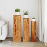 Ensemble de 3 supports de plantes en bois massif – Design unique et fait main