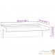 Cascade - Lame D'Eau 30 cm Inox + Led Couleur Pour Bassin De Jardin